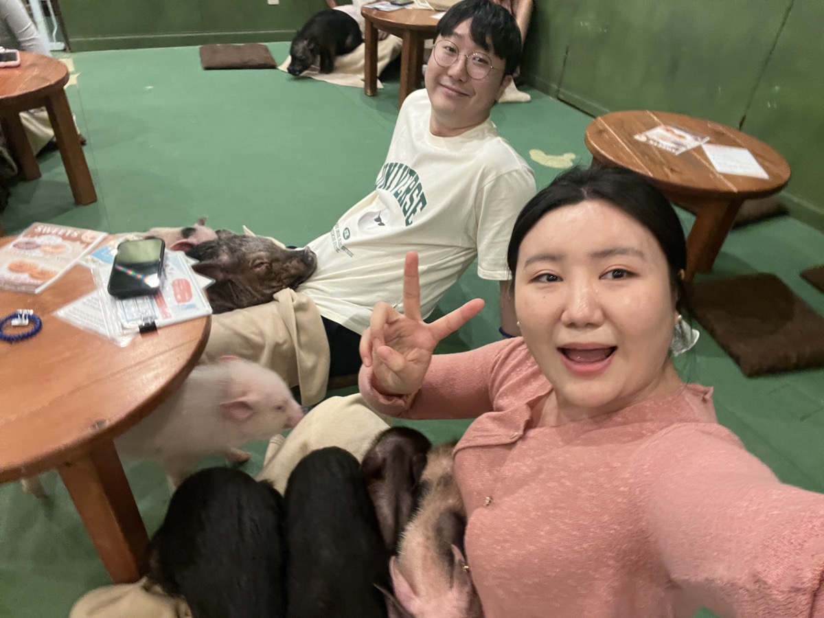 사진 7